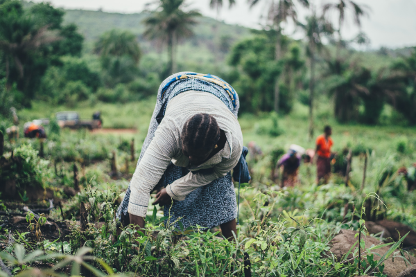 Woman farming